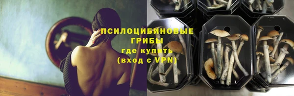 ГАЛЛЮЦИНОГЕННЫЕ ГРИБЫ Баксан