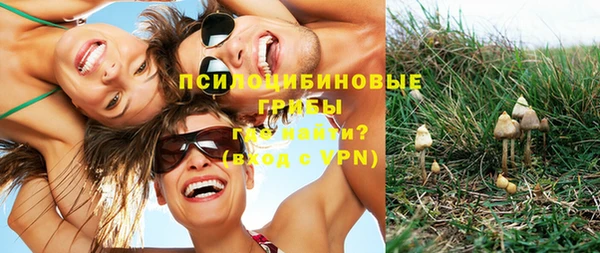 ГАЛЛЮЦИНОГЕННЫЕ ГРИБЫ Баксан