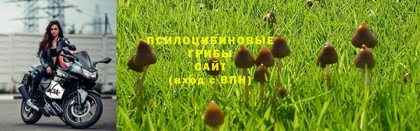 ГАЛЛЮЦИНОГЕННЫЕ ГРИБЫ Баксан